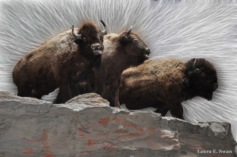 Buffalo Jump