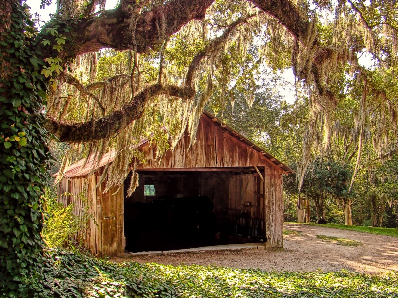 SOUTHERN MISSISSIPPI  SHED
