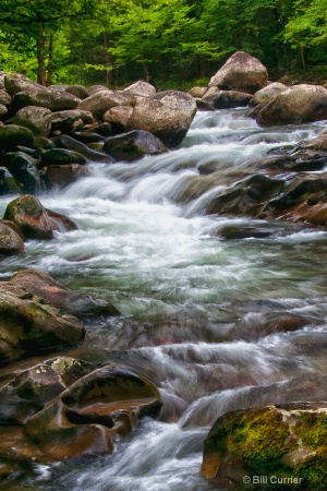 Greenbrier - Little Pigeon River - Great Smoky Mts