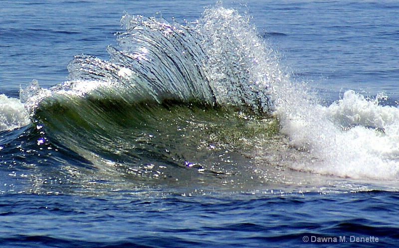Extraordinary Wave out on a sandbar.