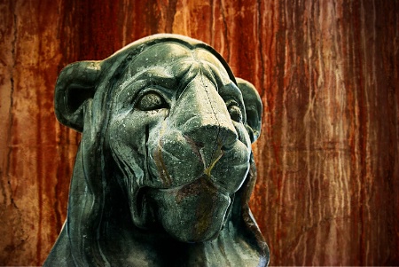 Italian Lion