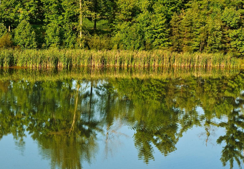 Reflections #4 - Ripples on Fishing Lake - New