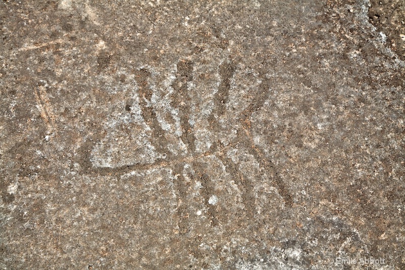 Discrete Geometric Petroglyph - ID: 10682180 © Emile Abbott