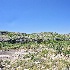 © Emile Abbott PhotoID # 10682245: Terrain of new uncovered Petroglyphs