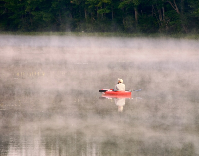 Misty Morning