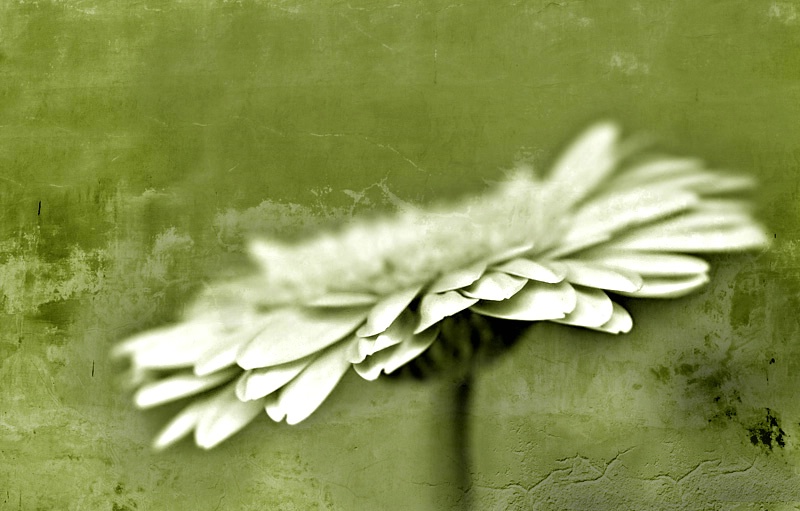 When world is green around...