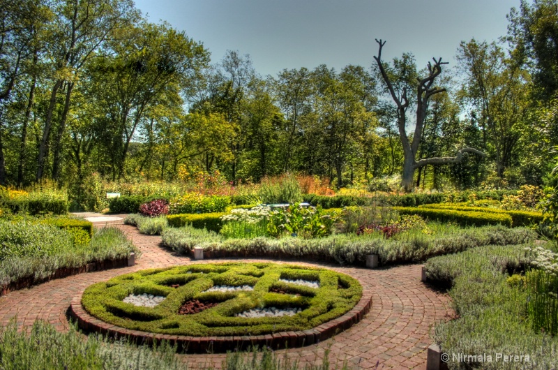 Botanical gardens 
