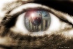 Eyeppy Hour