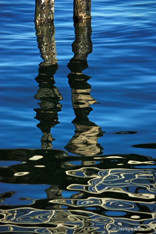 Pilings reflect