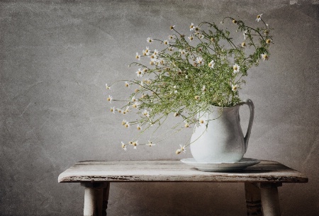 Wildflowers In A Pitcher