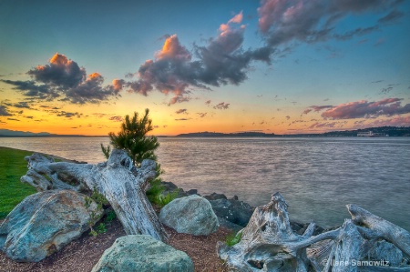 Alki Sunset