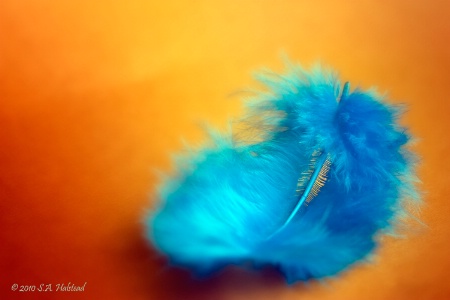 Feather