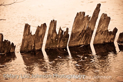 Old Wood Planks and Reflection