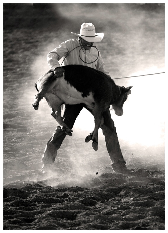 Calf Roping - ID: 10706848 © Jim D. Knelson