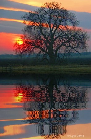 Sunrise Across the Lake