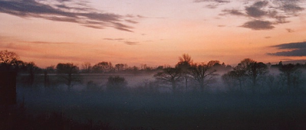 evening mist web