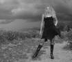 The Little Black ...