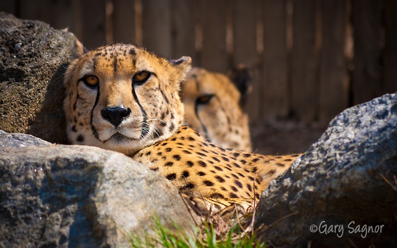 Philadelphia Zoo