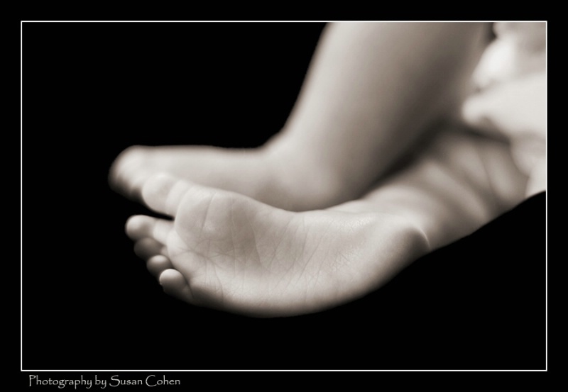dreamy newborn feet