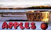 Apples