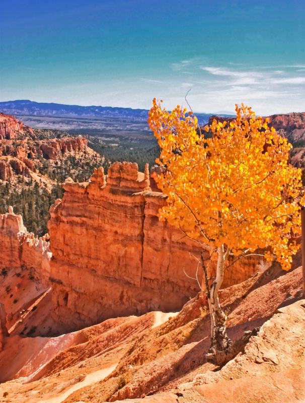 Fall in Bryce Canyon