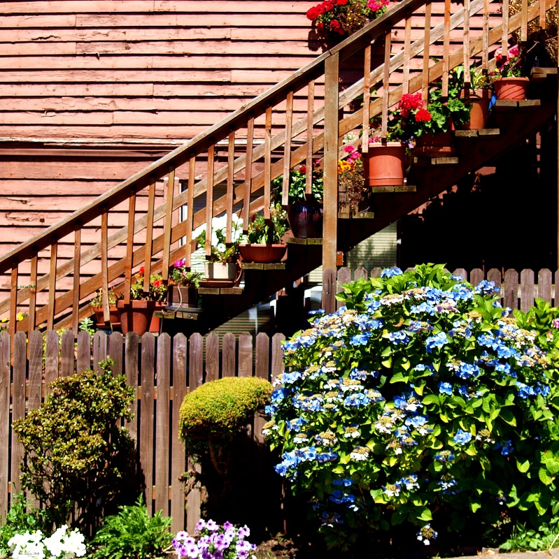 A City Garden