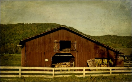 Old North Carolina Barn
