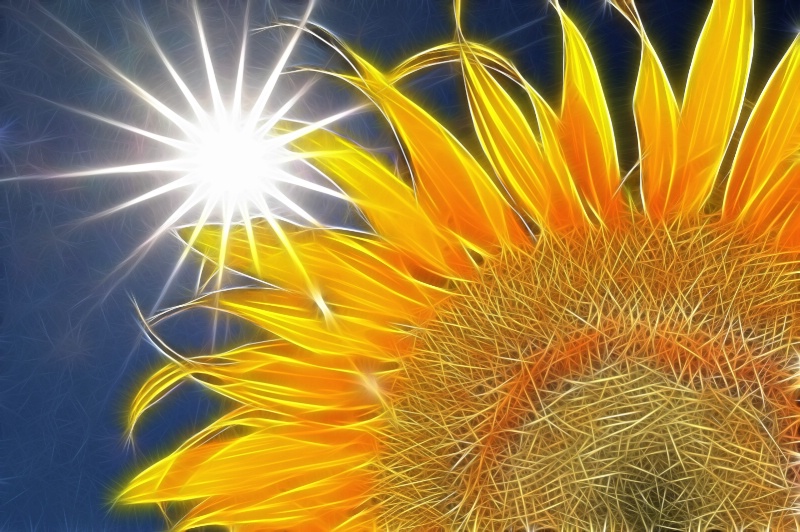Sun and Sunflower!