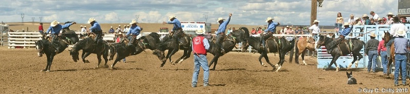 Saddle Bronc Sequence