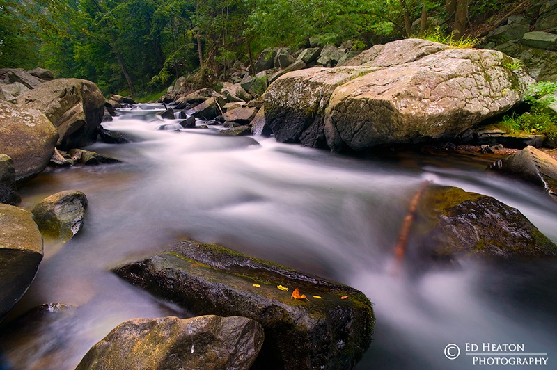 Deer Creek