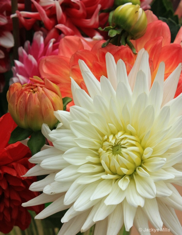 Market flowers