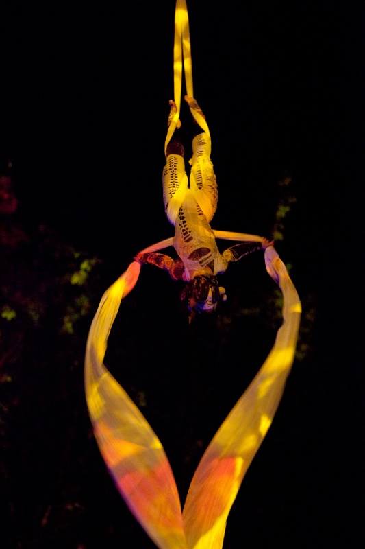 Acrobat hanging from balloons