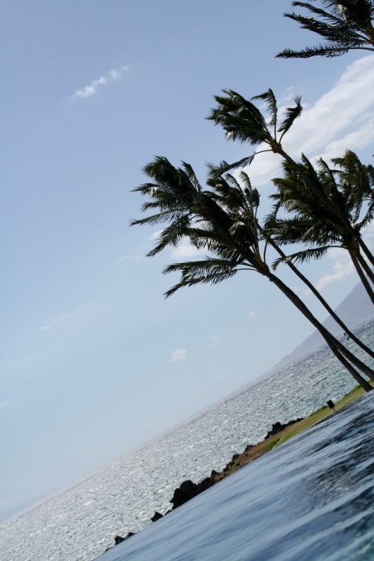 Infinity pool on Maui (June 2010)