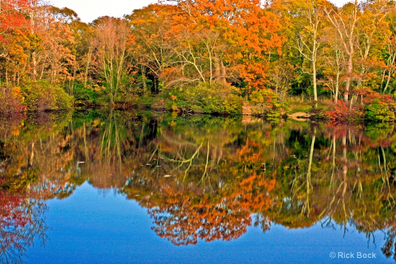 Trout Pond,Noyack,Long Island,NY