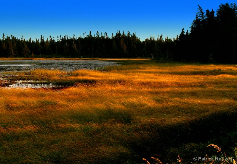 Dusk on the Wetlands