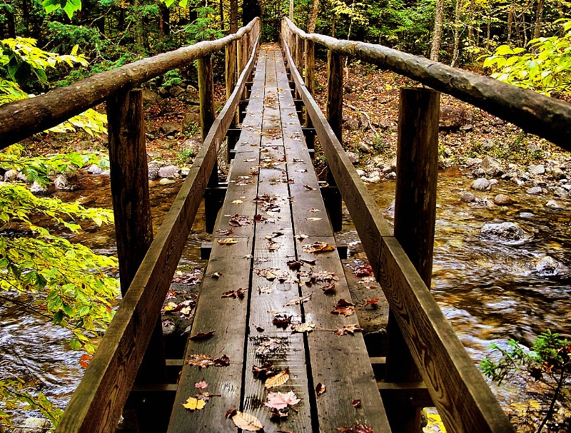 Autumn footprints