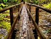 Autumn footprints