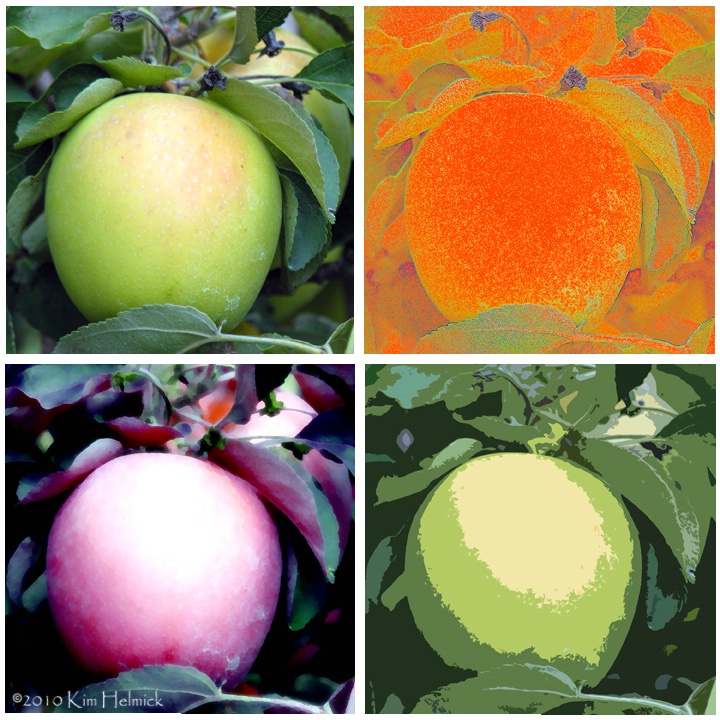 Warhol Apples
