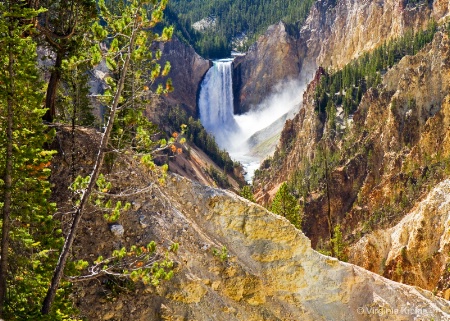 Lower Yellowstone Falls from Artist's Point