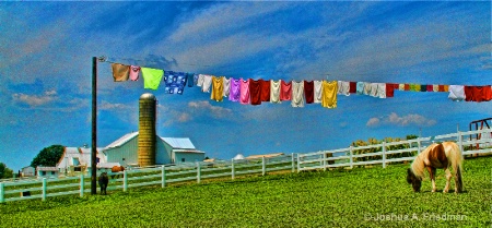 Colorful Laundry & Farm