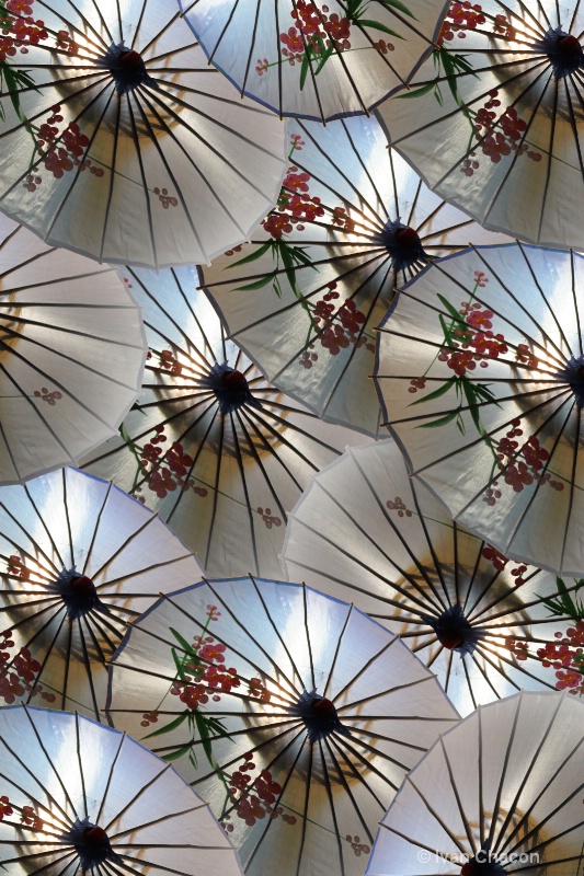 Hand painted umbrellas