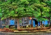 Blue Doors