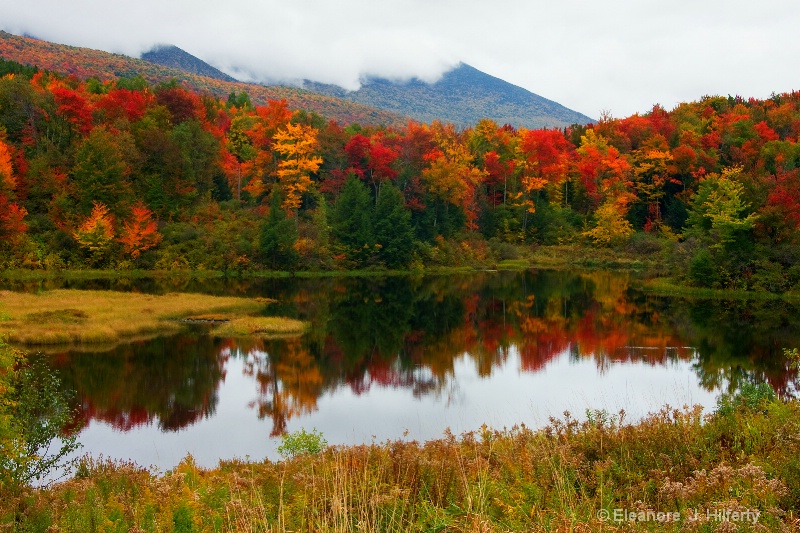 Hallock Lake, Vermont - ID: 10797946 © Eleanore J. Hilferty