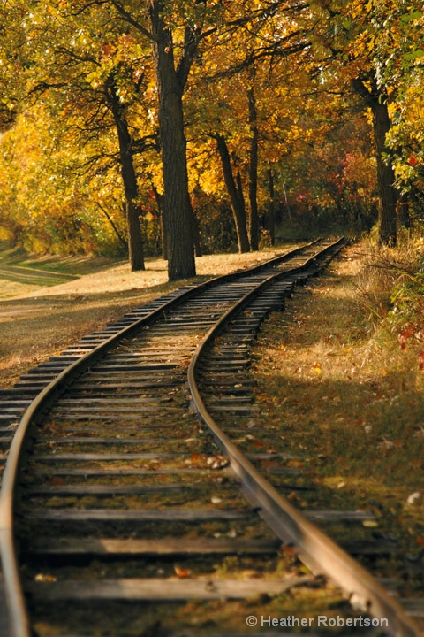 fall track