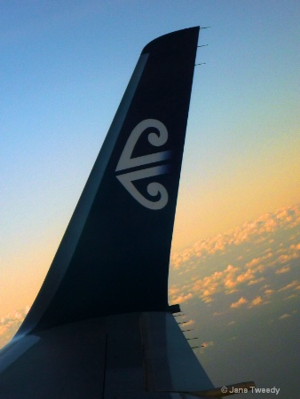 Air NZ Wingtip at Sunset