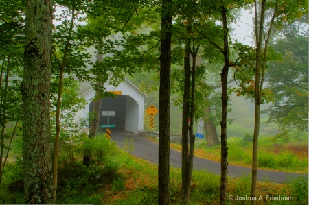 Loux Covered Bridge Through Trees - Misty Morning
