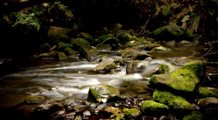 Scanlon creek