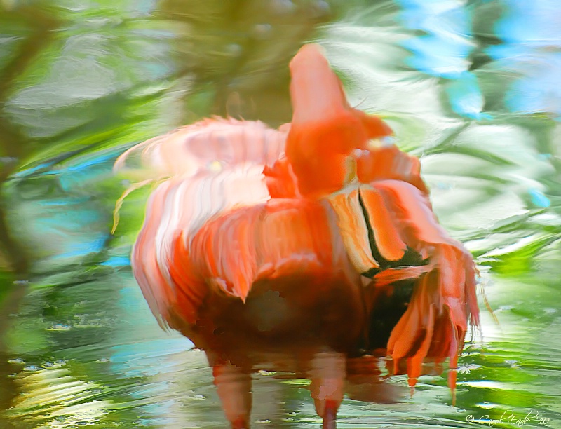 Flamingo Impressions - ID: 10827429 © Carol Eade