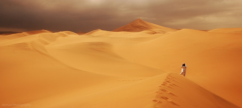 Beauty of the desert