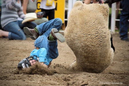Mutton Busting Ain't for Sissies!